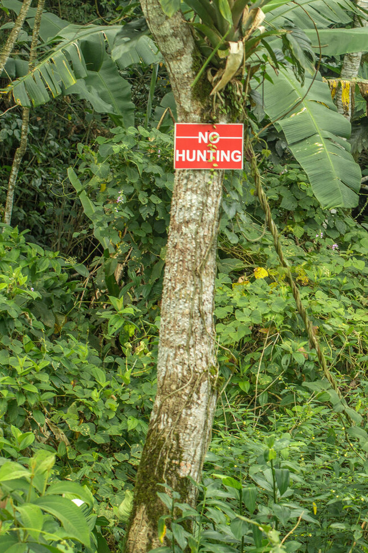 no-hunting